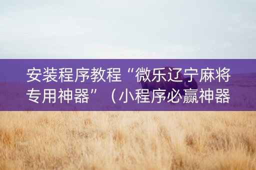 安装程序教程“微乐辽宁麻将专用神器”（小程序必赢神器)