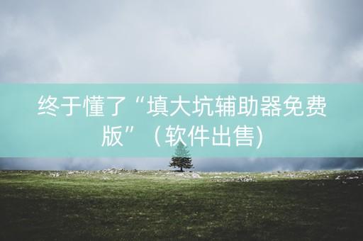终于懂了“填大坑辅助器免费版”（软件出售)