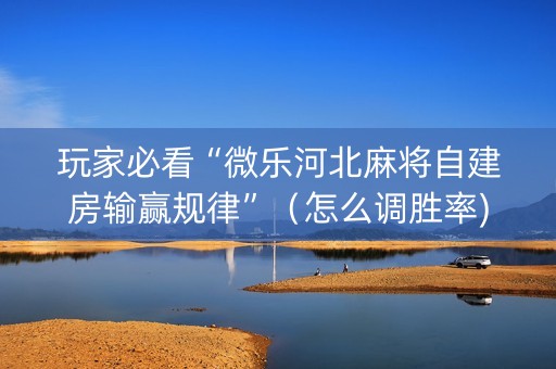 玩家必看“微乐河北麻将自建房输赢规律”（怎么调胜率)