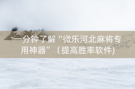 一分钟了解“微乐河北麻将专用神器”（提高胜率软件)