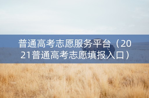 普通高考志愿服务平台（2021普通高考志愿填报入口）