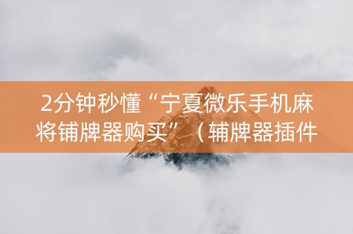 2分钟秒懂“宁夏微乐手机麻将铺牌器购买”（辅牌器插件购买)