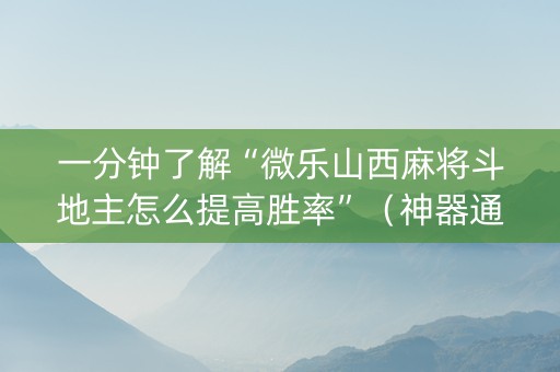 一分钟了解“微乐山西麻将斗地主怎么提高胜率”（神器通用版)
