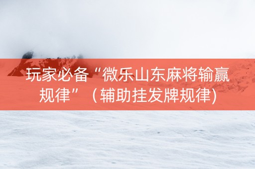 玩家必备“微乐山东麻将输赢规律”（辅助挂发牌规律)