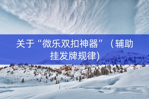 关于“微乐双扣神器”（辅助挂发牌规律)