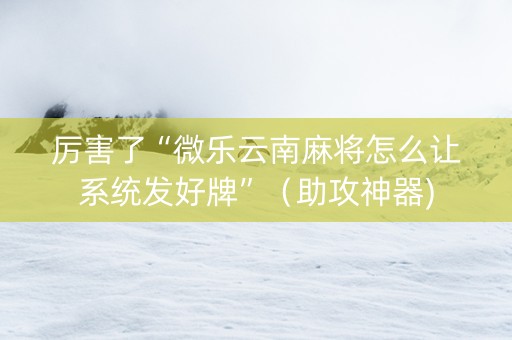 厉害了“微乐云南麻将怎么让系统发好牌”（助攻神器)