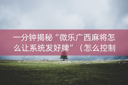 一分钟揭秘“微乐广西麻将怎么让系统发好牌”（怎么控制输赢)