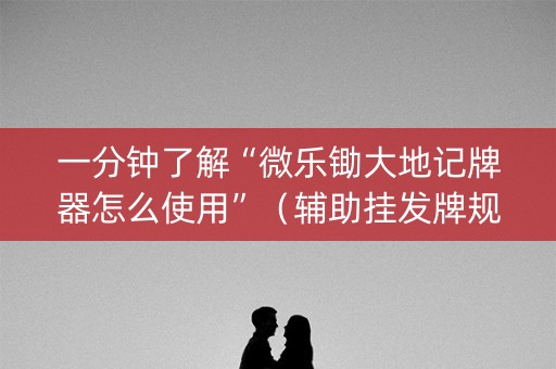 一分钟了解“微乐锄大地记牌器怎么使用”（辅助挂发牌规律)
