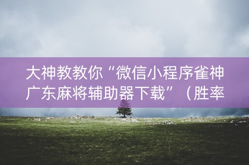 大神教教你“微信小程序雀神广东麻将辅助器下载”（胜率到哪调)