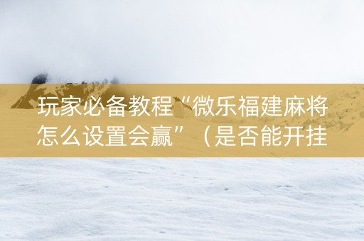 玩家必备教程“微乐福建麻将怎么设置会赢”（是否能开挂)