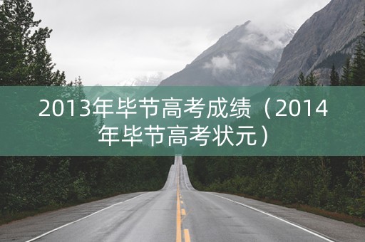 2013年毕节高考成绩（2014年毕节高考状元）