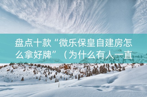 盘点十款“微乐保皇自建房怎么拿好牌”（为什么有人一直赢)