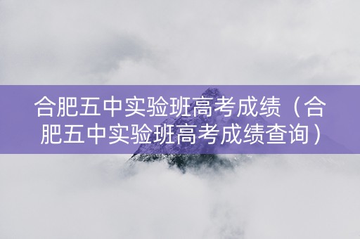 合肥五中实验班高考成绩（合肥五中实验班高考成绩查询）