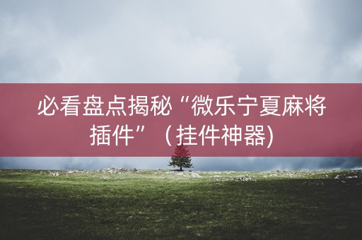 必看盘点揭秘“微乐宁夏麻将插件”（挂件神器)