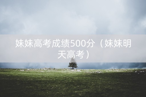 妹妹高考成绩500分（妹妹明天高考）