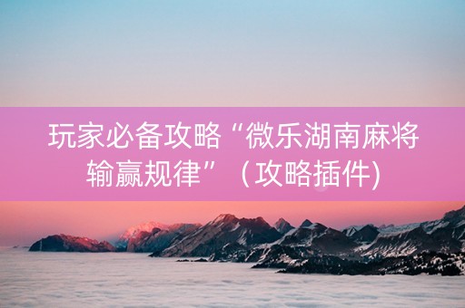 玩家必备攻略“微乐湖南麻将输赢规律”（攻略插件)