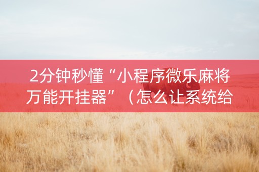 2分钟秒懂“小程序微乐麻将万能开挂器”（怎么让系统给自己好牌)