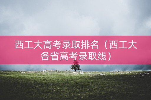 西工大高考录取排名（西工大各省高考录取线）