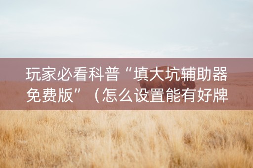 玩家必看科普“填大坑辅助器免费版”（怎么设置能有好牌)