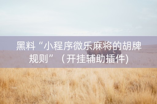 黑料“小程序微乐麻将的胡牌规则”（开挂辅助插件)