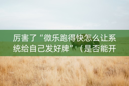 厉害了“微乐跑得快怎么让系统给自己发好牌”（是否能开挂)