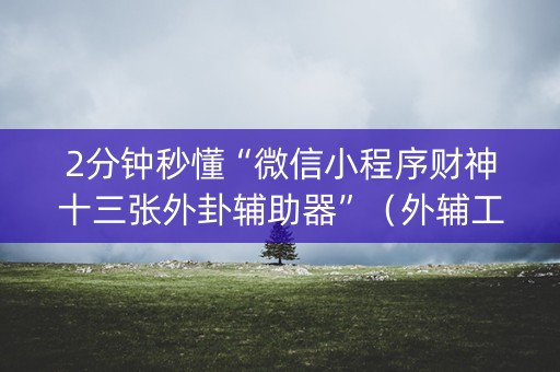 2分钟秒懂“微信小程序财神十三张外卦辅助器”（外辅工具)