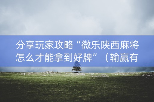 分享玩家攻略“微乐陕西麻将怎么才能拿到好牌”（输赢有什么规律)