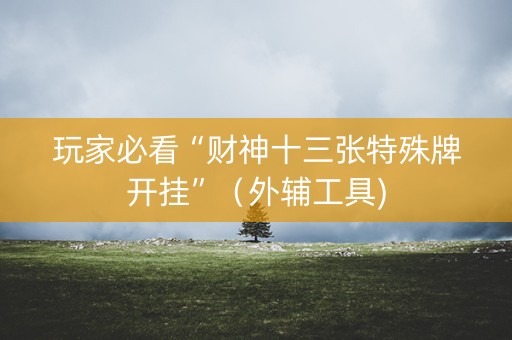 玩家必看“财神十三张特殊牌开挂”（外辅工具)