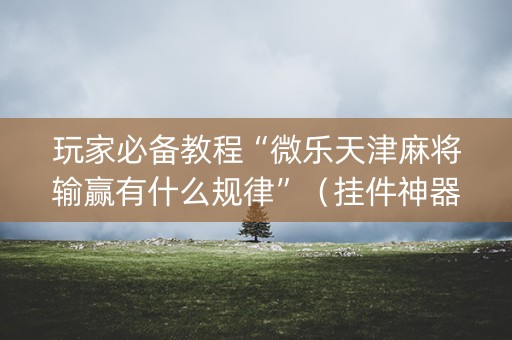 玩家必备教程“微乐天津麻将输赢有什么规律”（挂件神器)