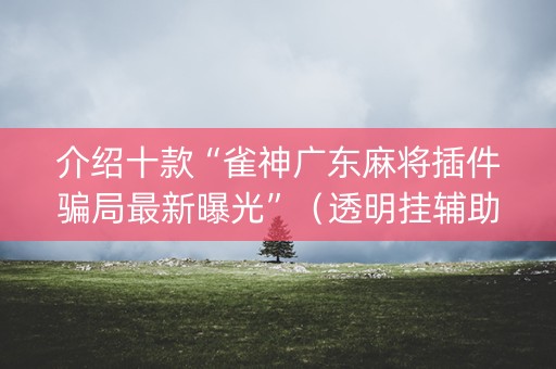 介绍十款“雀神广东麻将插件骗局最新曝光”（透明挂辅助器)