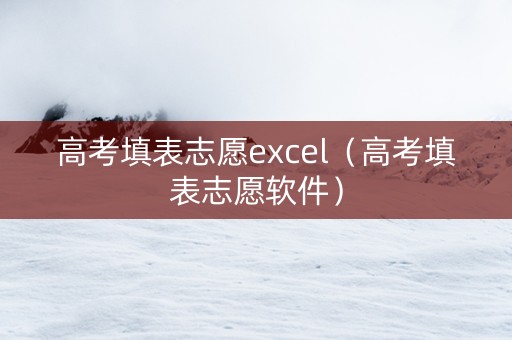 高考填表志愿excel（高考填表志愿软件）