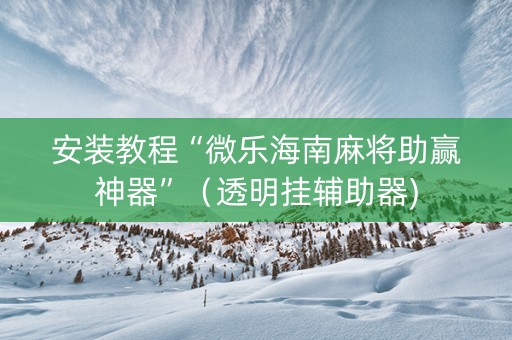安装教程“微乐海南麻将助赢神器”（透明挂辅助器)