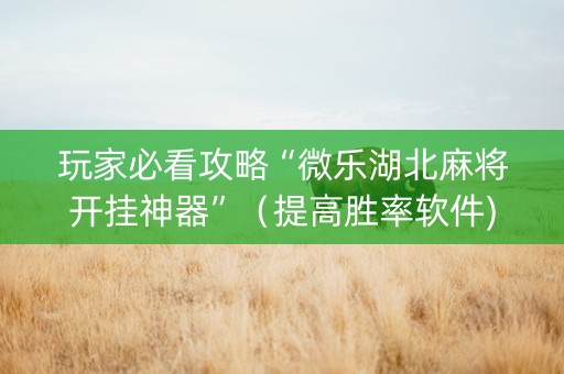 玩家必看攻略“微乐湖北麻将开挂神器”（提高胜率软件)