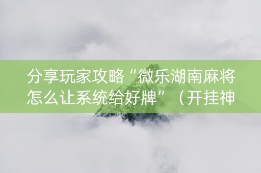 分享玩家攻略“微乐湖南麻将怎么让系统给好牌”（开挂神器下载)