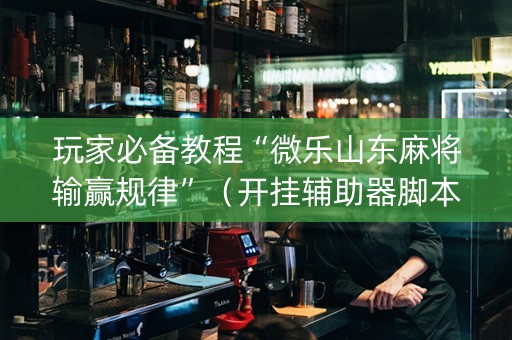 玩家必备教程“微乐山东麻将输赢规律”（开挂辅助器脚本)