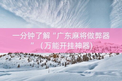 一分钟了解“广东麻将做弊器”（万能开挂神器)