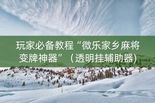 玩家必备教程“微乐家乡麻将变牌神器”（透明挂辅助器)