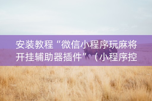 安装教程“微信小程序玩麻将开挂辅助器插件”（小程序控牌器)