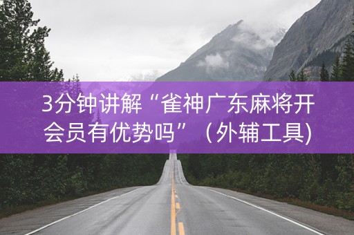 3分钟讲解“雀神广东麻将开会员有优势吗”（外辅工具)