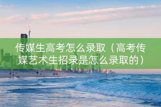 传媒生高考怎么录取（高考传媒艺术生招录是怎么录取的）