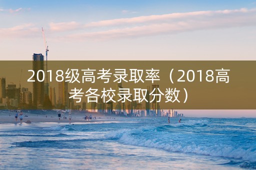 2018级高考录取率（2018高考各校录取分数）