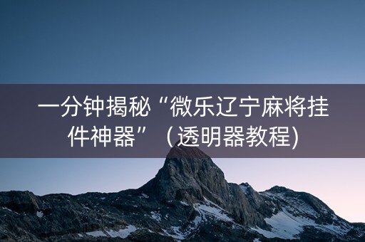 一分钟揭秘“微乐辽宁麻将挂件神器”（透明器教程)