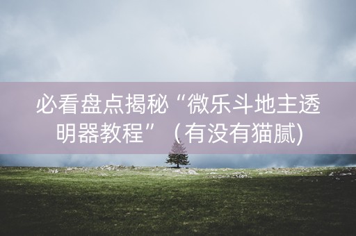 必看盘点揭秘“微乐斗地主透明器教程”（有没有猫腻)