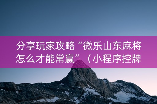 分享玩家攻略“微乐山东麻将怎么才能常赢”（小程序控牌器)