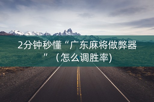 2分钟秒懂“广东麻将做弊器”（怎么调胜率)