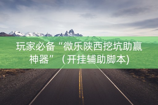 玩家必备“微乐陕西挖坑助赢神器”（开挂辅助脚本)
