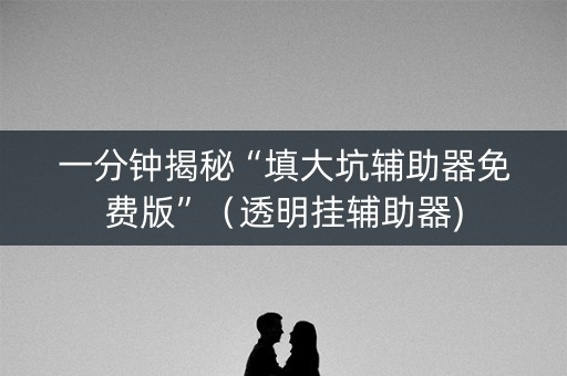 一分钟揭秘“填大坑辅助器免费版”（透明挂辅助器)