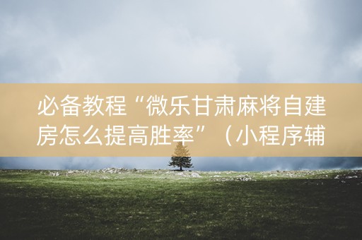 必备教程“微乐甘肃麻将自建房怎么提高胜率”（小程序辅助软件)
