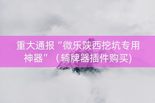 重大通报“微乐陕西挖坑专用神器”（辅牌器插件购买)