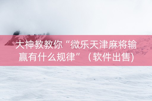 大神教教你“微乐天津麻将输赢有什么规律”（软件出售)